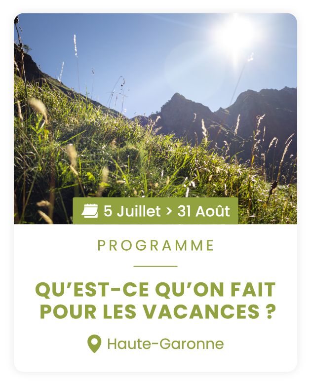 Qu'est-ce qu'on fait pour les vacances ?
